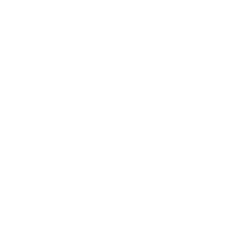 icono verifay alarma verificada