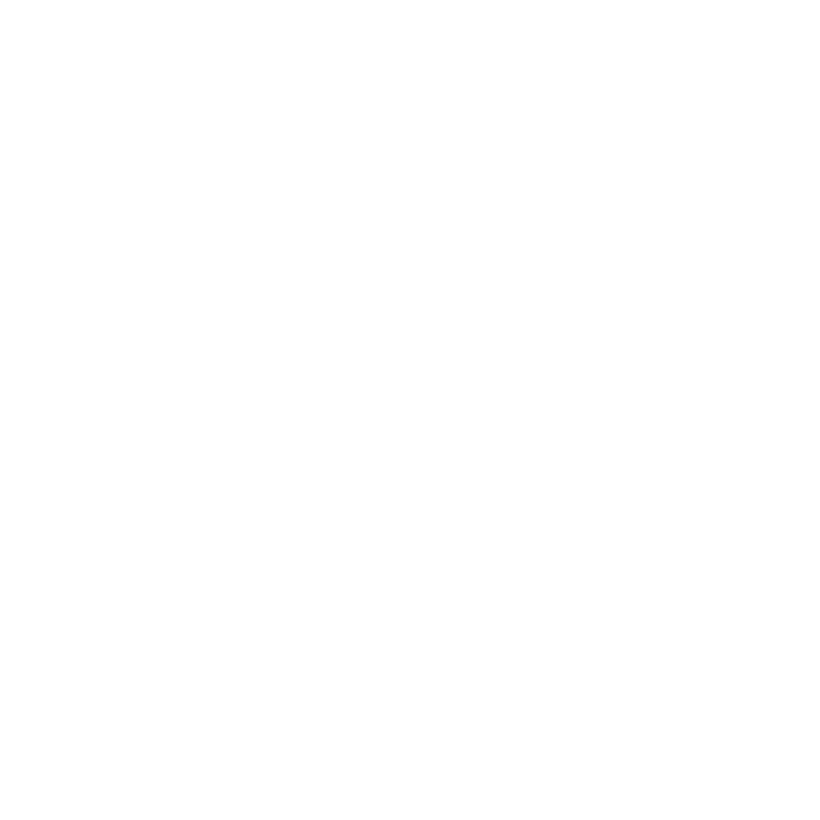 Icono verifay seguridad informática