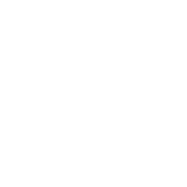 icono transparente verifay cámara